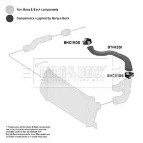 Шлангопровод BORG & BECK BTH1351