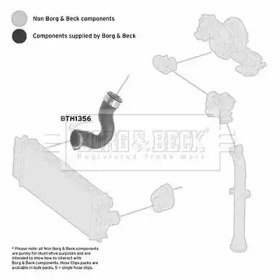 Шлангопровод BORG & BECK BTH1356