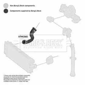 Шлангопровод BORG & BECK BTH1365