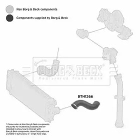 Шлангопровод BORG & BECK BTH1366