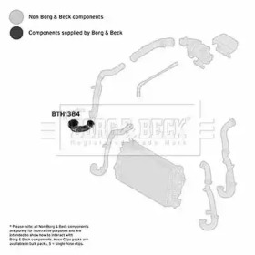 Шлангопровод BORG & BECK BTH1384