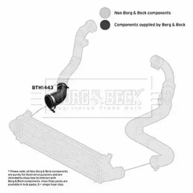 Шлангопровод BORG & BECK BTH1443