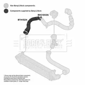 Шлангопровод BORG & BECK BTH1524