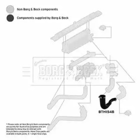 Шлангопровод BORG & BECK BTH1548