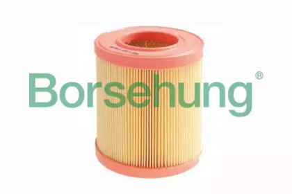 Фильтр Borsehung B12813