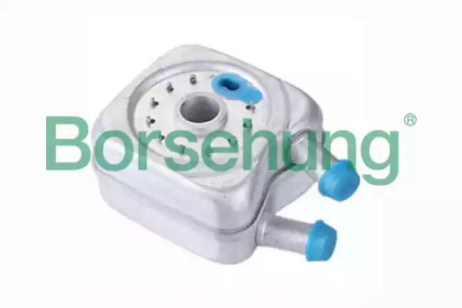 Теплообменник Borsehung B14498