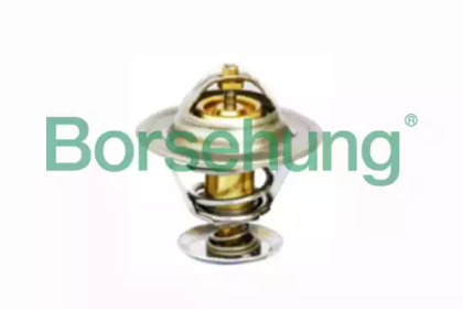 Термостат Borsehung B18245