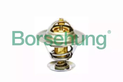 Термостат Borsehung B18246