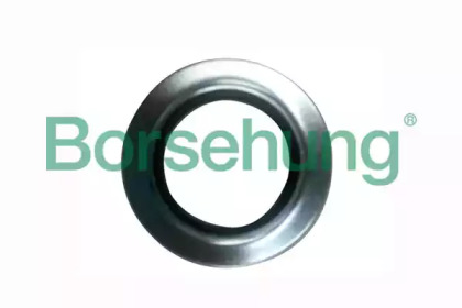 Подшипник Borsehung B18294