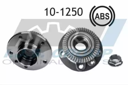 Комплект подшипника IJS GROUP 10-1250