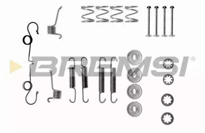 Комплектующие, тормозная колодка BREMSI SK0511