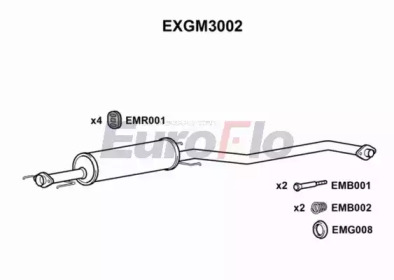 Амортизатор EuroFlo EXGM3002