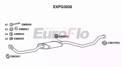 Амортизатор EuroFlo EXPG3030