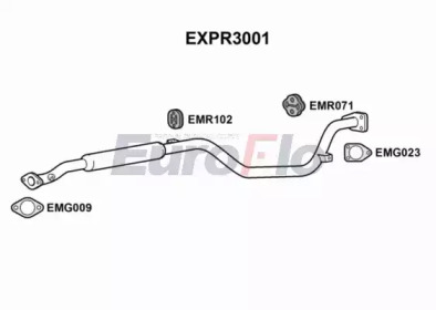 Средний глушитель выхлопных газов EuroFlo EXPR3001