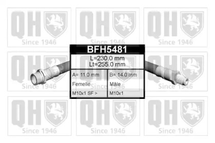 Тормозной шланг QUINTON HAZELL BFH5481