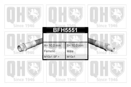 Шлангопровод QUINTON HAZELL BFH5551