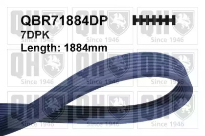 Поликлиновой ремень QUINTON HAZELL QBR71884DP