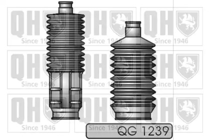 Комплект пыльника QUINTON HAZELL QG1239