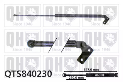 Газовая пружина QUINTON HAZELL QTS840230