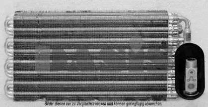 Испаритель AKS DASIS 820206N