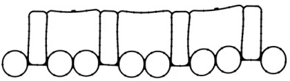 Прокладкa GLASER X89274-01