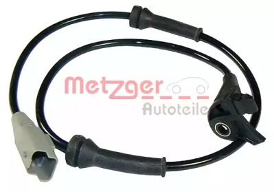  METZGER 0900365