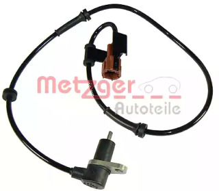  METZGER 0900376