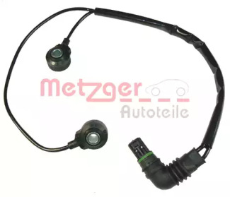  METZGER 0907069